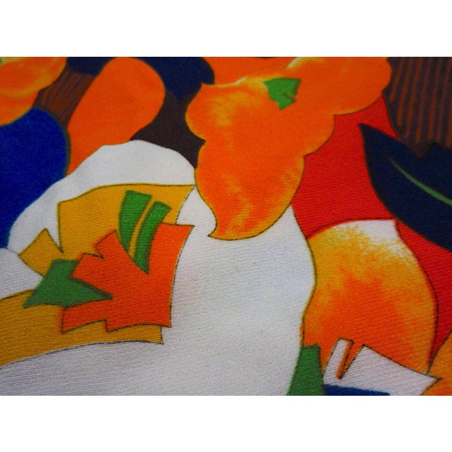 ビンテージ70's○Terryレディース花柄プルオーバー長袖シャツ