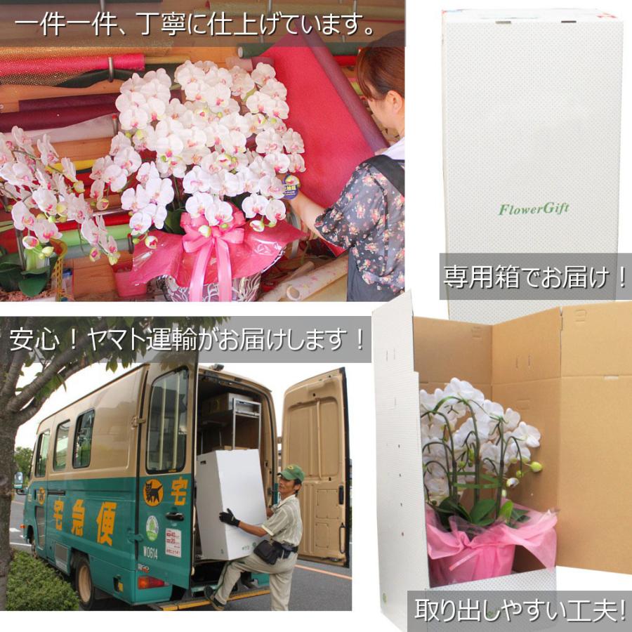 光触媒 胡蝶蘭 5本立ち 大輪 豪華 ギフト 造花 開店祝い 移転祝い 就任
