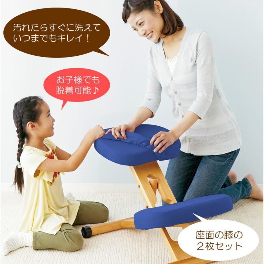 プロポーションチェア 専用替えカバー 座と膝の2枚セット バランス