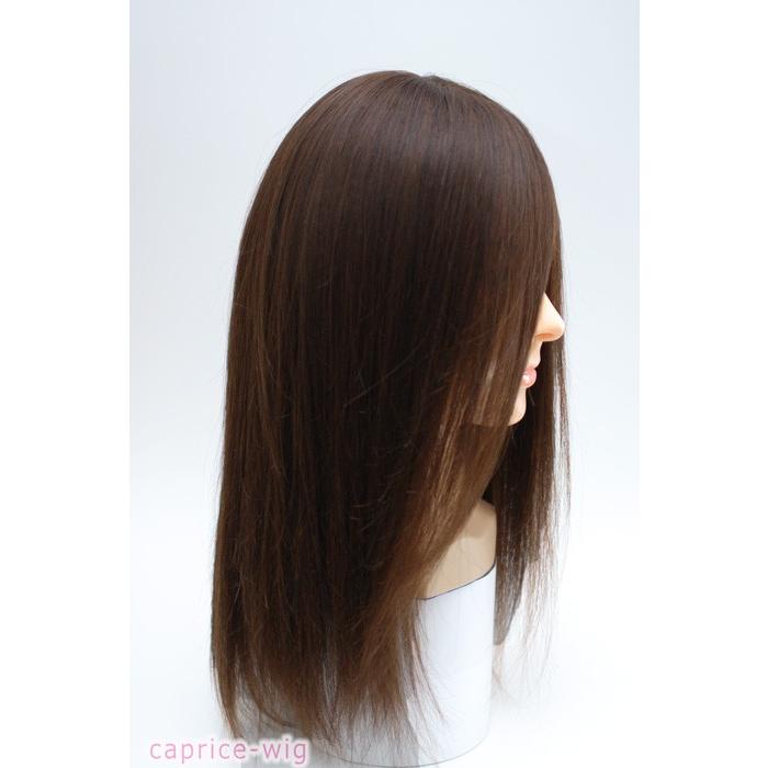 人毛ウィッグ 自然 医療用 ロング ストレート プレーン 未カット 部分