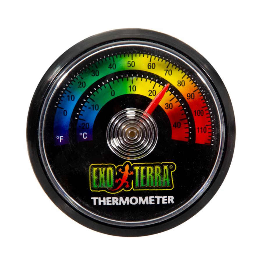 GEX（ジェックス） エキゾテラ アナログ温度計 爬虫類 : チャーム