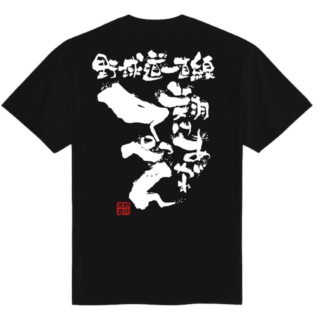 チーム割あり 高校野球 練習着 tシャツ 部活 チーム 野球 ドライ 半袖