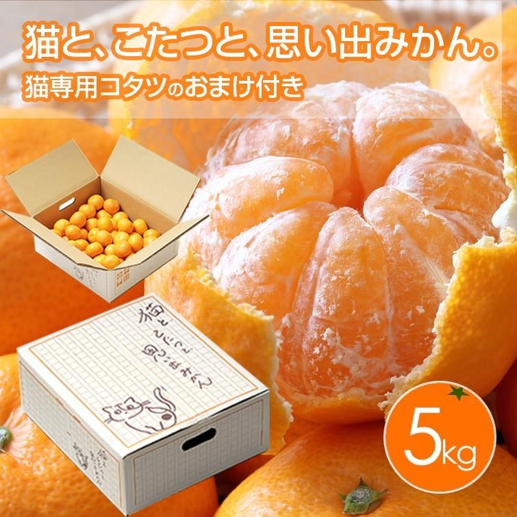猫と、こたつと、思い出みかん 日本初猫専用こたつ付(段ボール製