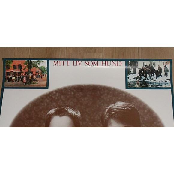 マイライフ・アズ・ア・ドッグ』日本版劇場オリジナルポスター・B2