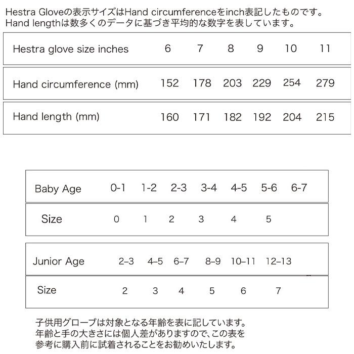 HESTRA（ヘストラ） 24-25 HESTRA グローブ Tore トーレ スノーボード