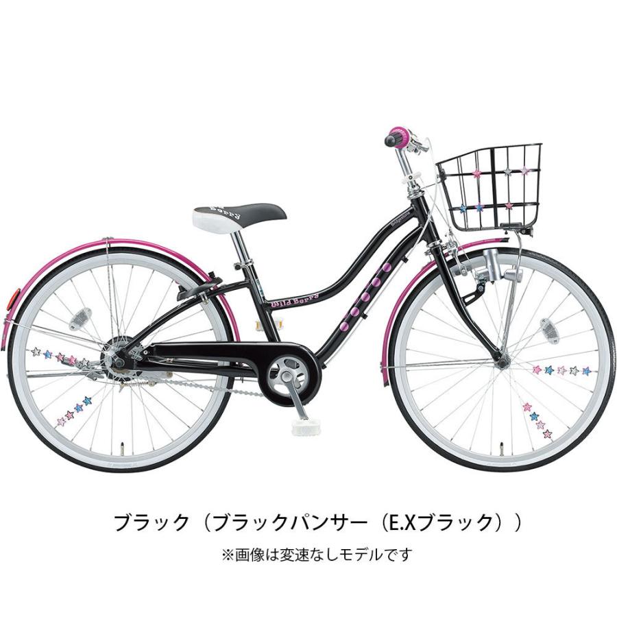 BRIDGESTONE（ブリヂストン） 子供自転車 20インチ ワイルドベリー20