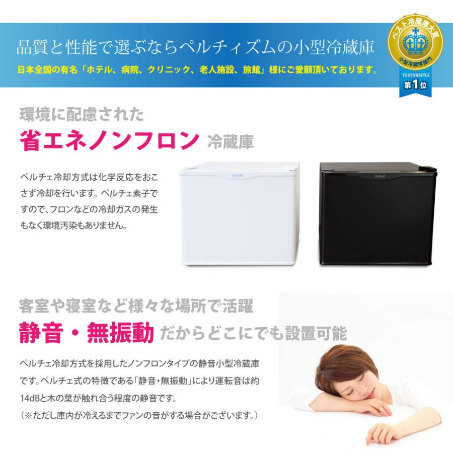 小型冷蔵庫 メーカー1年保証 省エネ17リットル型 Peltismペルチィズム