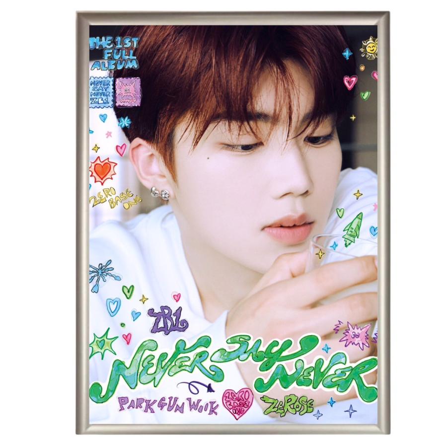 ゴヌク パクゴヌク ZEROBASEONE ゼロベースワン フォトプレート 額入り