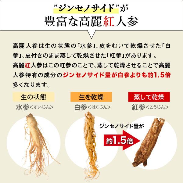 AFC（エーエフシー） 伝承の健康源 高麗紅人参&山参百年根 30日分 高麗