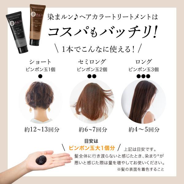 AFC（エーエフシー） 染まルン♪ヘアカラートリートメント 220g カラー