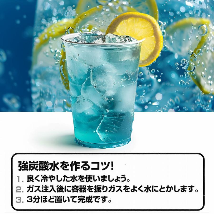 炭酸水用 ガスカートリッジ 30本セット 大容量 お酒 飲料 ツインソーダ