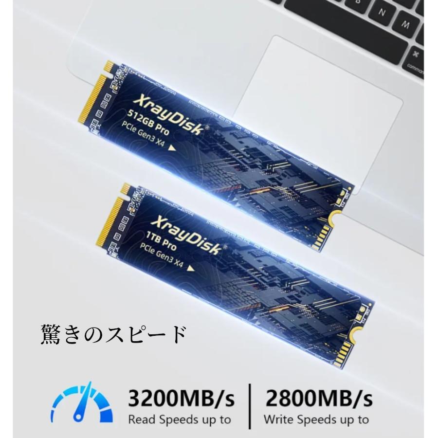 M.2 NVMe 1TB | 内蔵SSD 外付けSSD Xray Disk PCIe ノートブックPC用