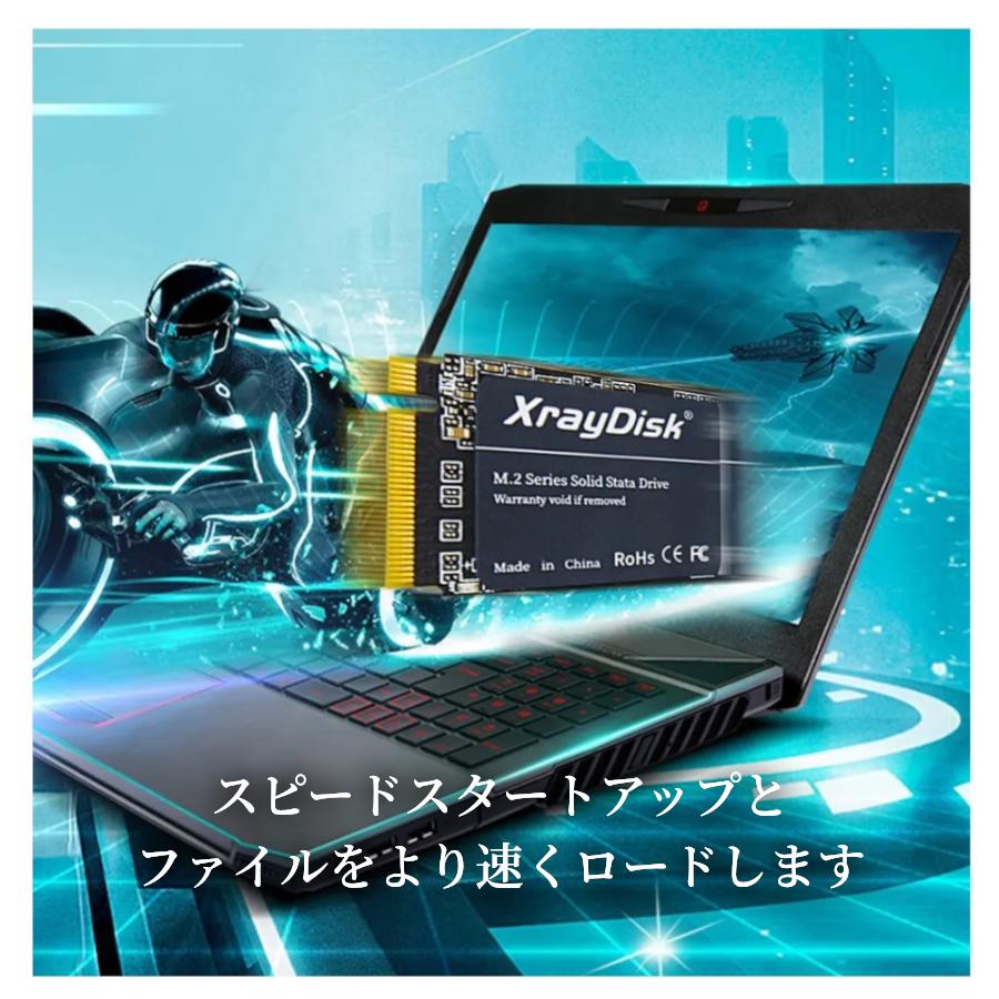M.2 NVMe 1TB | 内蔵SSD 外付けSSD Xray Disk PCIe ノートブックPC用