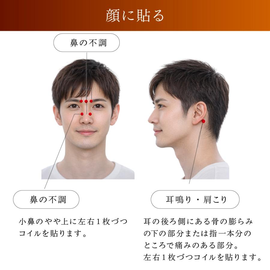 unica（ユニカ） 丸山式コイル ブラックアイ 6個入 貼替シール30枚入