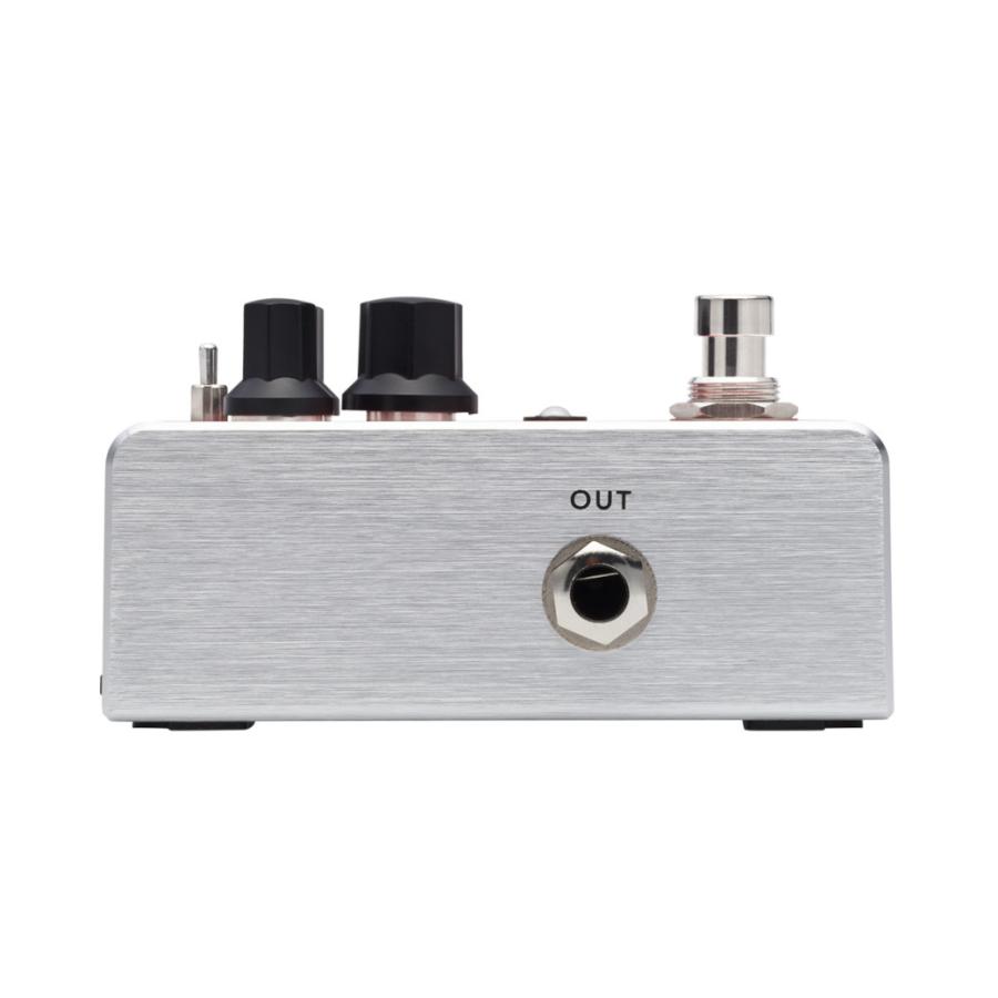 Fishman フィッシュマン エフェクター AFX ACOUSTIVERB アコギ用