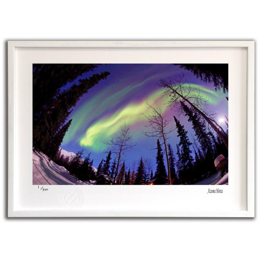 版画 絵画 オーロラと木々006 アラスカ 堀田東 壁掛け 壁飾り