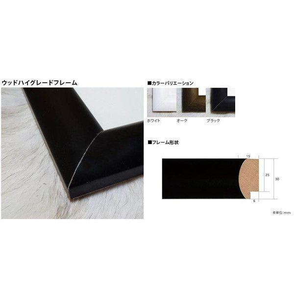 ポスター アート 5 Roses（ウィリアム クライン） 額装品 ウッドハイ