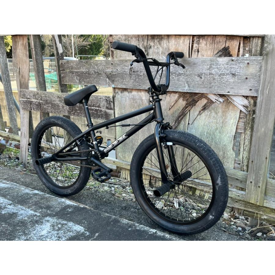 自転車 BMX フルスペック FLATLAND 20インチ TNB / SEEK 17.9 送料無料