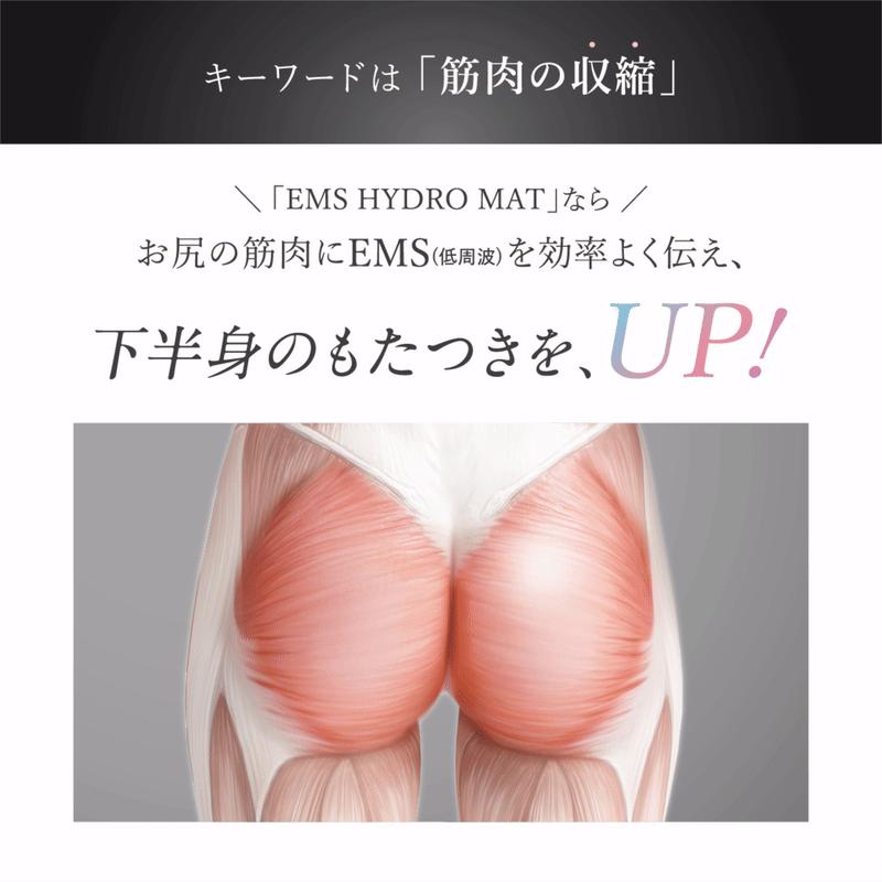 WAVEWAVE EMS Hydro Mat ハイドロマット ヒップアップ お尻 マット 美