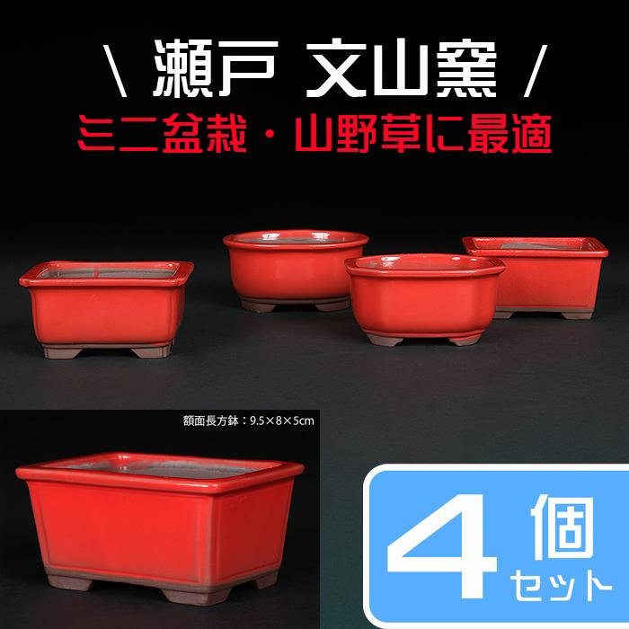 盆栽鉢 植木鉢 「瀬戸焼文山窯赤釉小鉢4点セット」 色鉢 3号 9cm