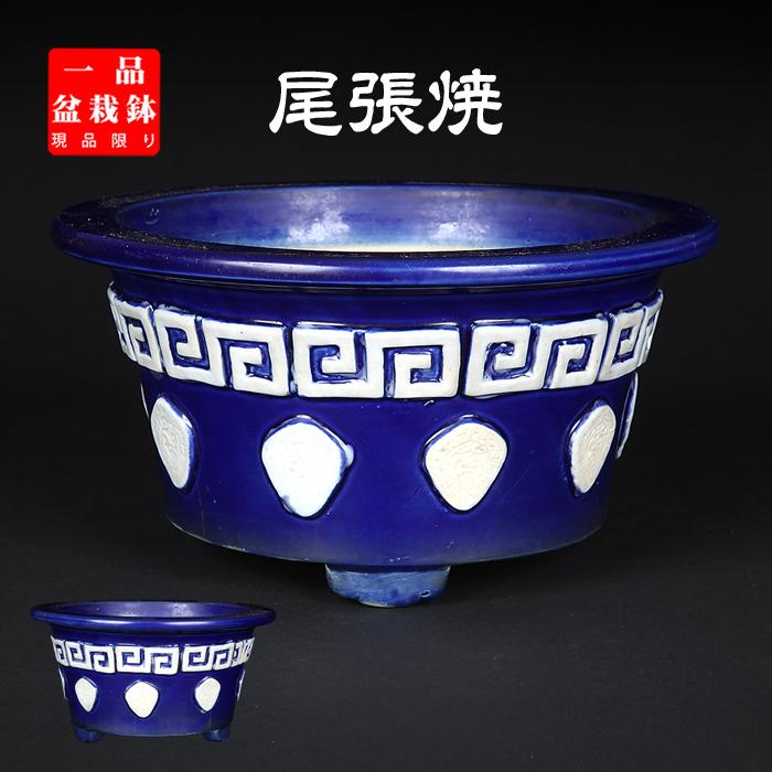 盆栽鉢 尾張貼花文丸鉢 植木鉢 蘭鉢 磁器物 絵鉢 8号 25cm 青 ネイビー