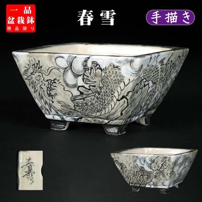 盆栽鉢 「春雪墨絵龍図正方鉢」 植木鉢 絵付 シュンセツ 磁器 3号 8cm