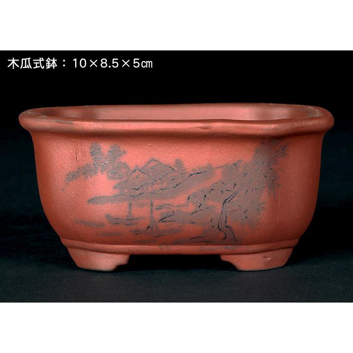 盆栽鉢 「瀬戸焼文山窯朱泥絵付鉢4点セット」 植木鉢 絵鉢 泥鉢 焼締 3