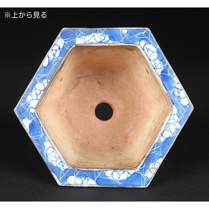 盆栽鉢 瀬戸染付六角鉢 蘭鉢 瀬戸物 磁器 セト 4号 13cm 雑木盆栽 山