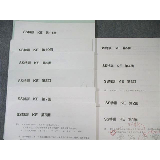 SAPIX サピックス 慶應コース SS特訓 理科 通年セット 【全11回分フル