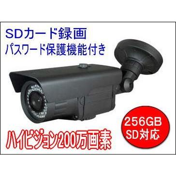 200万画素SDカード内蔵 屋外防水 暗視防犯カメラ BSC-010 : ボーダレス