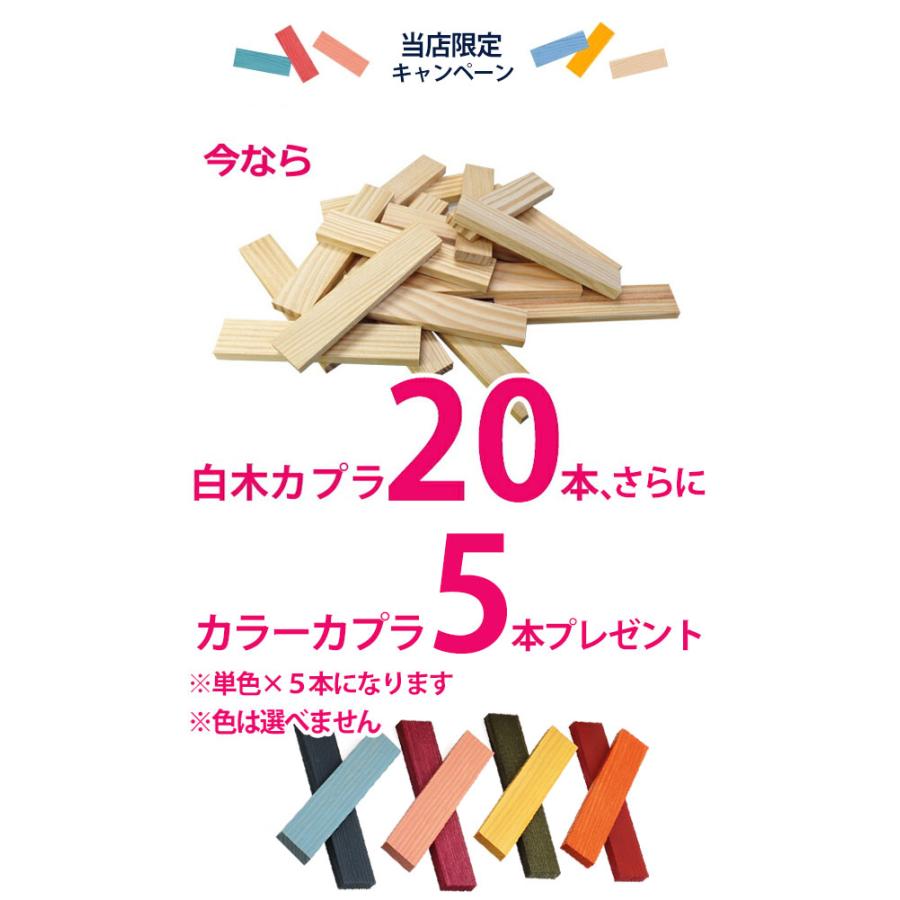 KAPLA（カプラ） カプラ200 KAPLA200 白木200枚 正規品 豪華特典あり