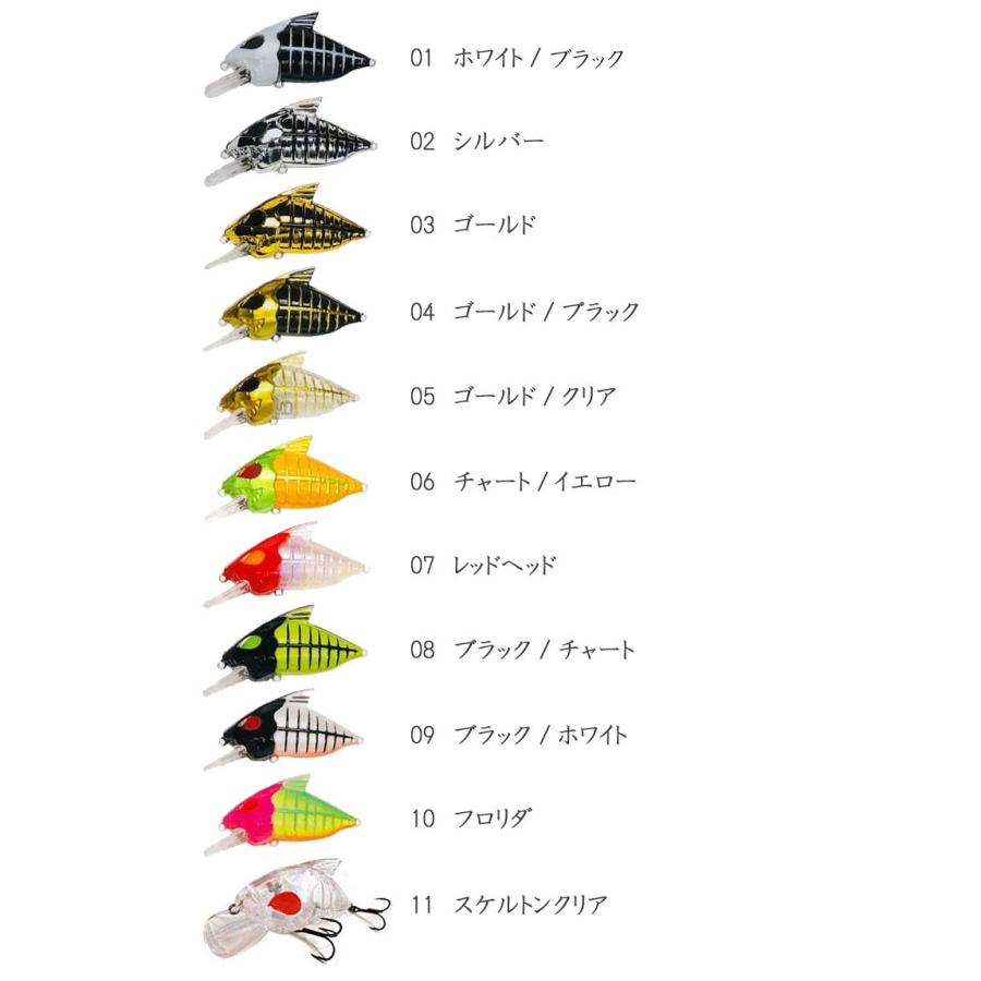 スケルトンランド スケルトンクランク グランダー武蔵 : バック