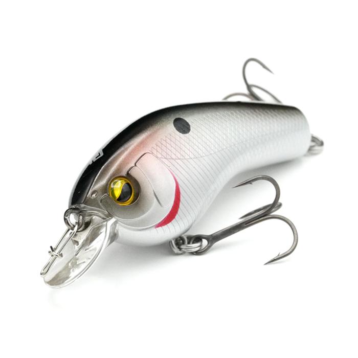 RAID JAPAN（レイドジャパン） SKM スーパー高速マシーン : バック