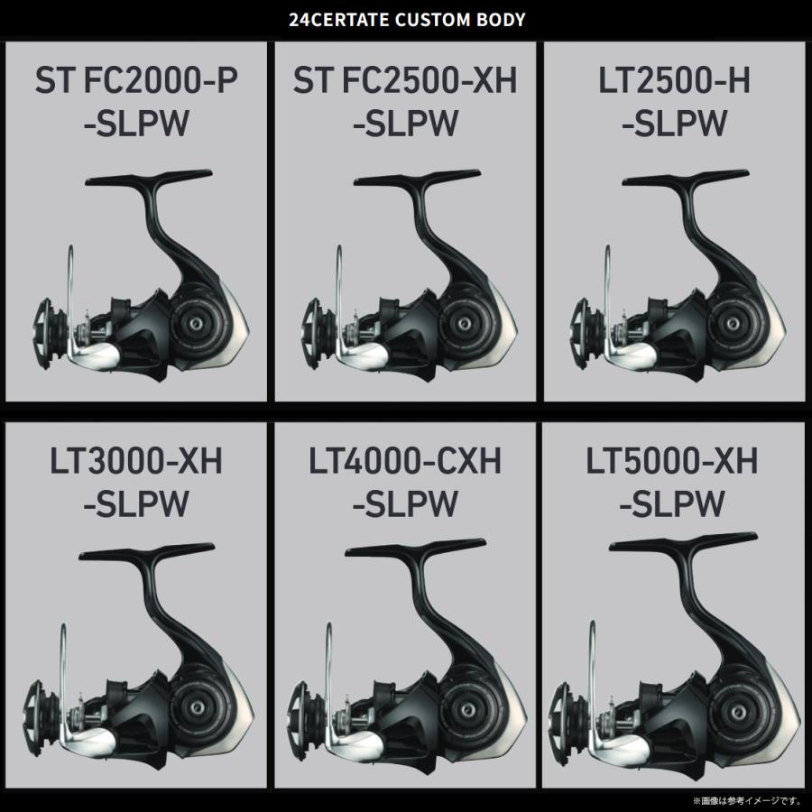 DAIWA（ダイワ） ○ダイワ SLPワークス 24 セルテート カスタムボディ