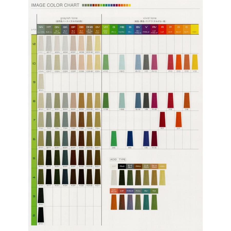 FIOLE（フィヨーレ） BLカラー アッシュ 120G : BeautyPro Magica