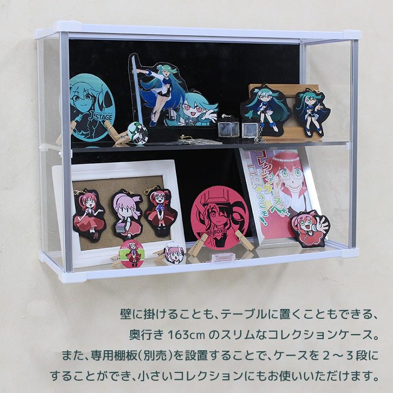 壁掛けコレクションケース Fケース (ヨコ型・壁掛けタイプ・背面