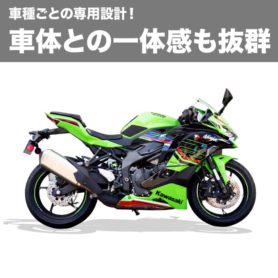 ワールドウォーク（WORLD WARK） 1年保証付き 国内製造 Ninja ZX-4RR