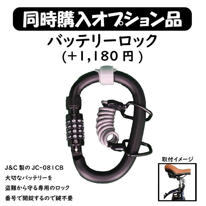 PELTECH（ペルテック） 12Ahバッテリー PELTECH電動アシスト自転車専用