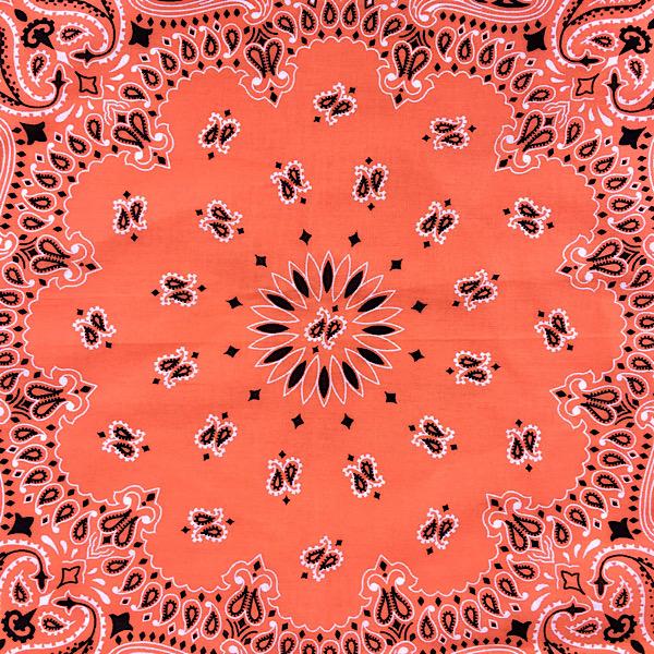 HAV-A-HANK（ハバハンク） 80年代 デッドストック アメリカ製 耳付き