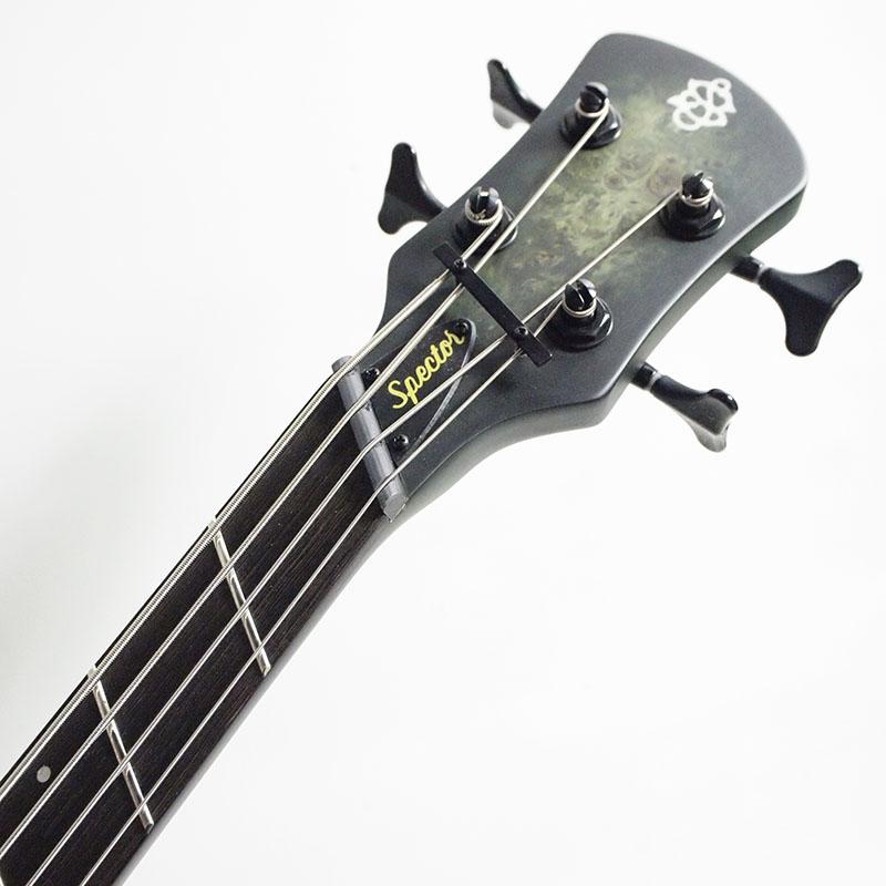SPECTOR NS Dimension4 Haunted Moss Matte エレキベース〈スペクター