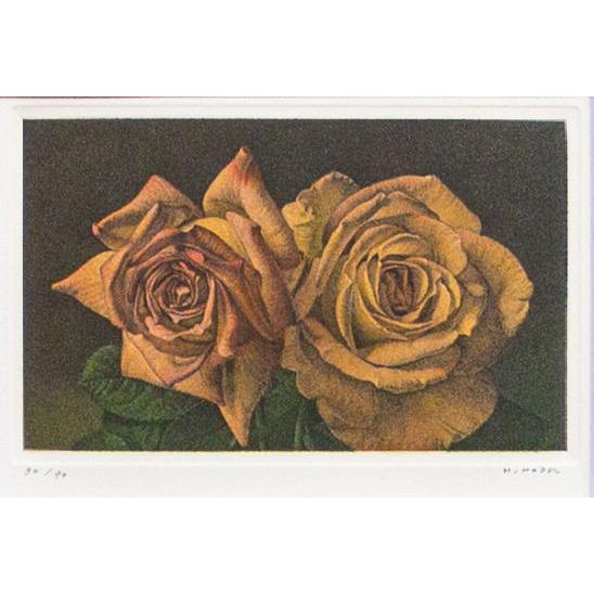 野田弘志 「 薔薇 」 銅版画 版画 日本画 絵画 バラ 花 モダン 写実