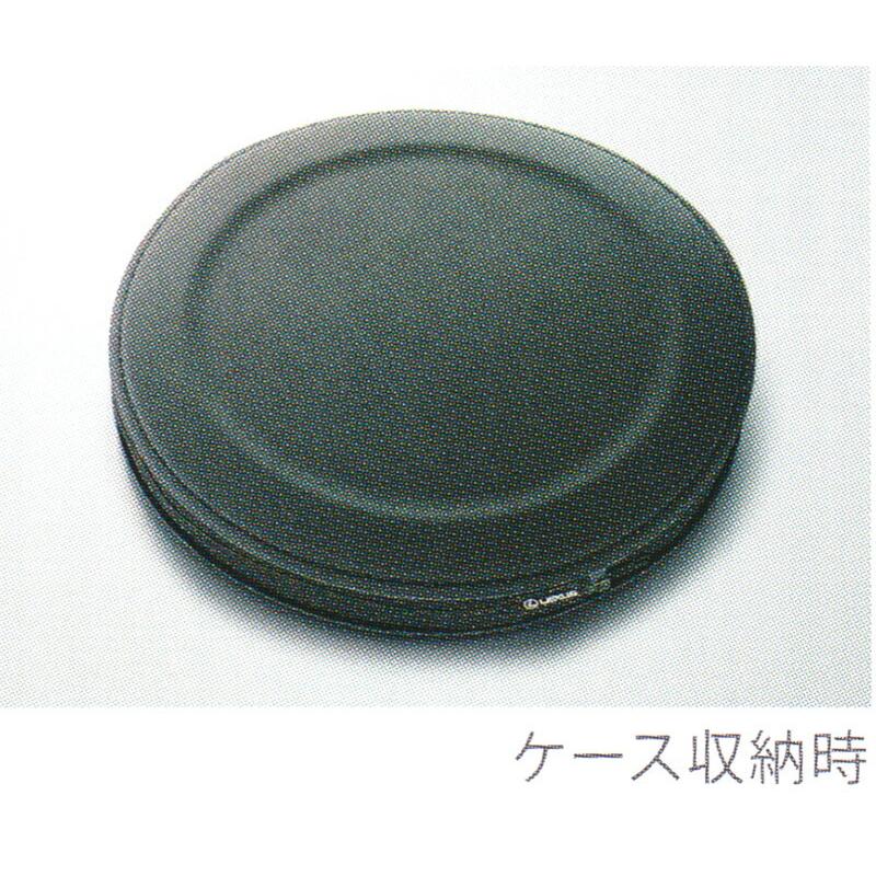 LEXUS レクサス 純正 アクセサリー パーツ LS500 LS500h フロント