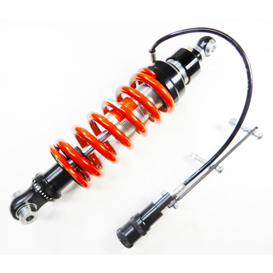 bitubo ビチューボ カワサキ Ninja 1000/ABS (11-13) [ZX1000SX] 用