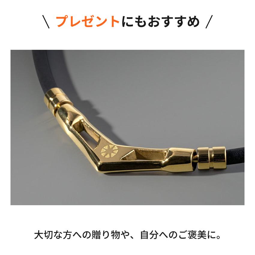 BANDEL（バンデル） V1 49cm 54cm ブラック ゴールド シルバー