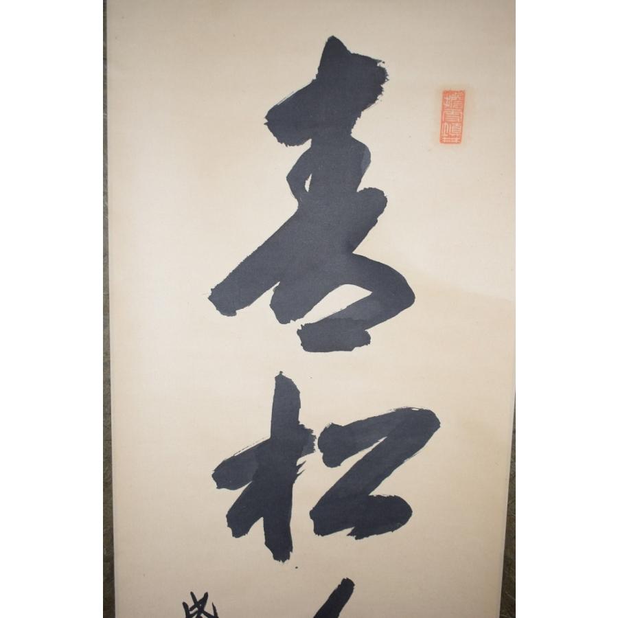 茶道具 掛軸 大徳寺 大仙院 尾関 桃林 「青松多寿色」 掛け軸 01-5201