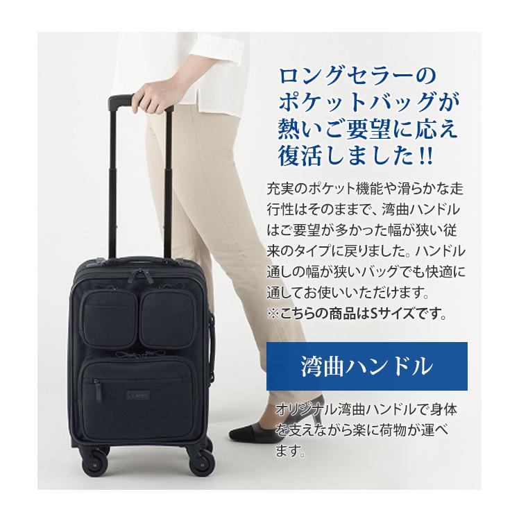 スワニー SWANY キャリーバッグ ソフト キャリーケース ビジネス