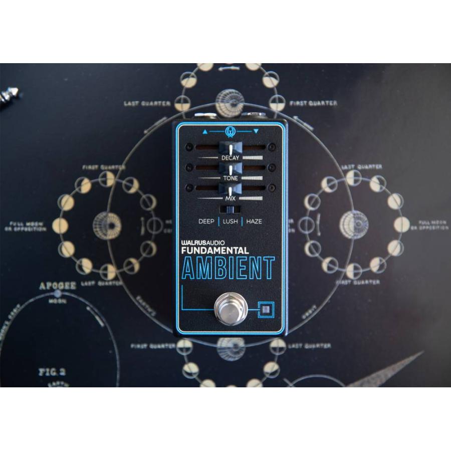 Walrus Audio Fundamental Series Ambient【リバーブ】《エフェクター