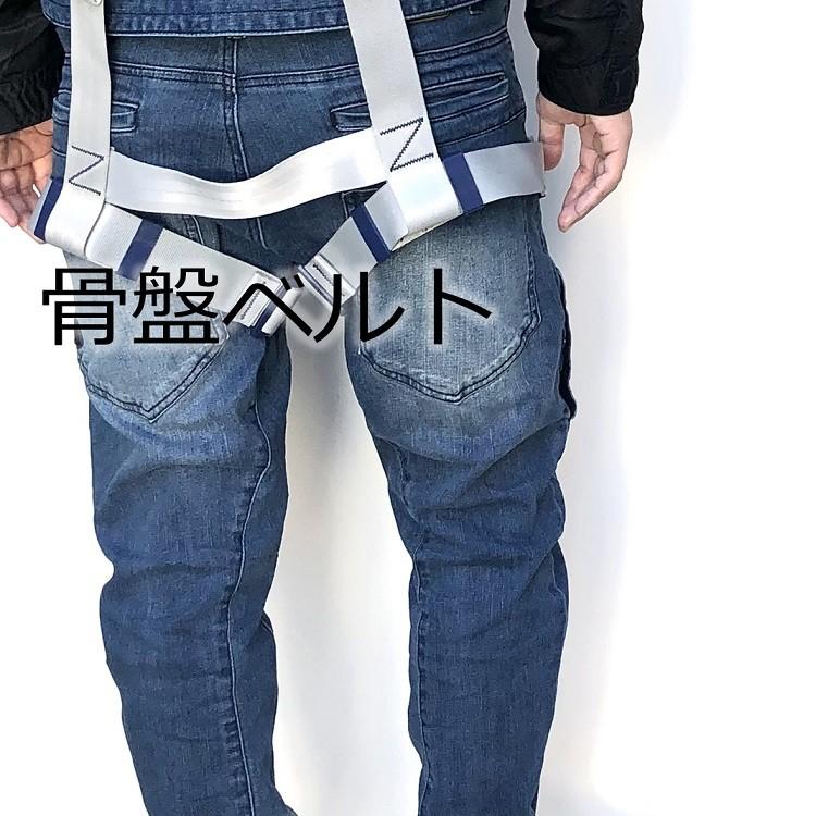 タイタン 新規格 フルハーネス サンコー PAHN-10A-SI Lサイズ PANGAEA