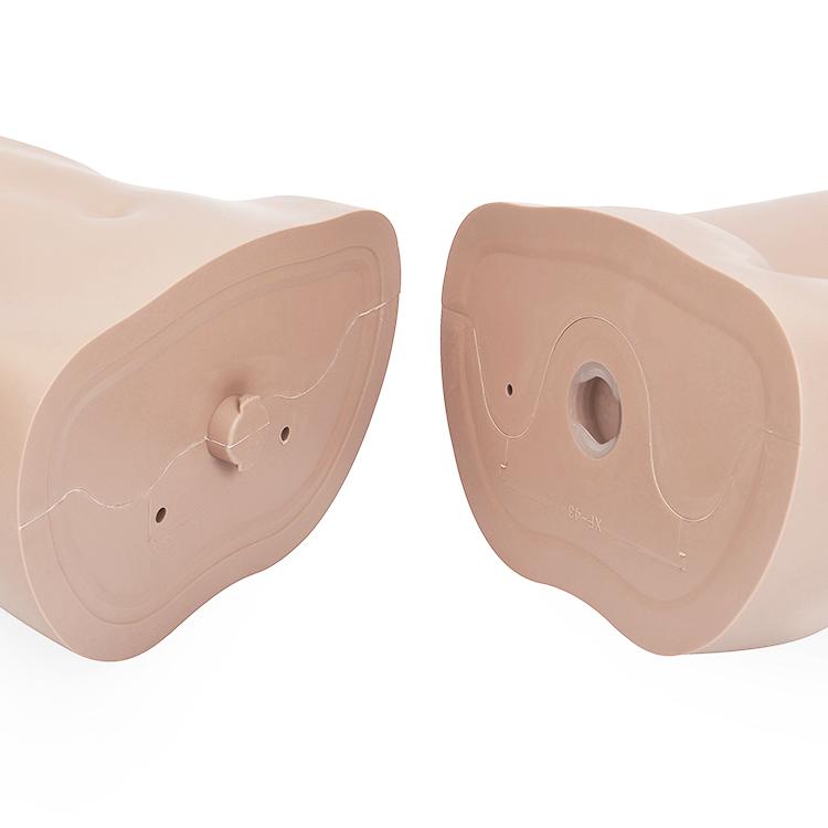 ひざ上トルソー レディース 高さ105cm 【9号サイズ】 B83×W62×H85cm