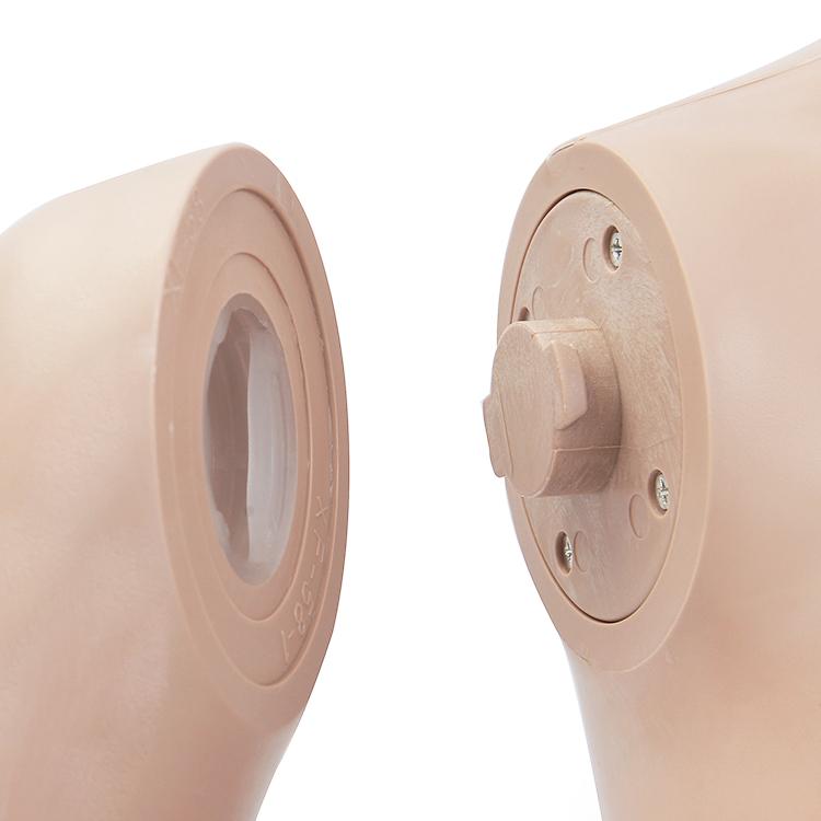 ひざ上トルソー レディース 高さ105cm 【9号サイズ】 B83×W62×H85cm